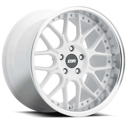 ESR CS18